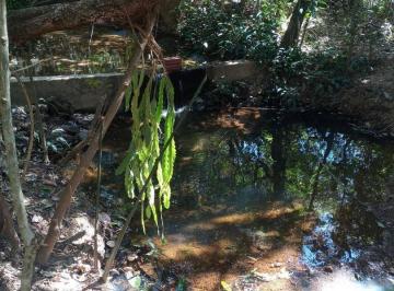 Imagem 1 · Fazenda para venda em Bela Vista de Goiás