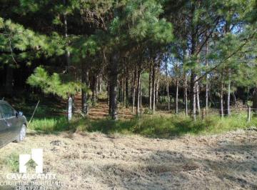 Imagem 1 · Sítio para venda em Campina do Taquaral, São José dos Pinhai