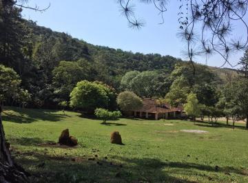 Imagem 1 · Sítio para venda em Jardim Julieta, Taubaté