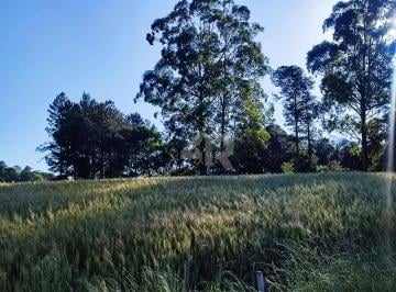 Imagem 1 · Chácara para venda em São Salvador, Cascavel