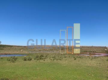Imagem 1 · Fazenda para venda em Alegrete