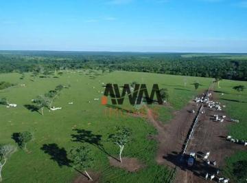 Imagem 1 · Fazenda para venda em Centro, Paranatinga