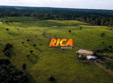 Imagem 2 · Fazenda para venda em Porto Velho