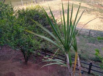 Imagem 1 · Fazenda para venda em Vila Resende, Caçapava