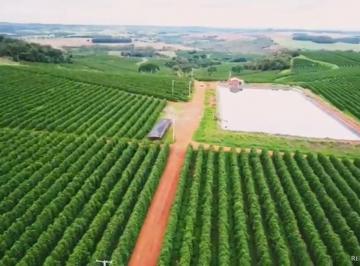 Imagem 1 · Fazenda para venda em Centro, Patos de Minas