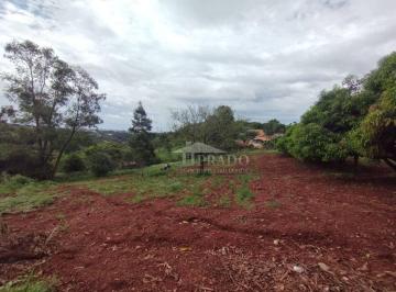 Imagem 3 · Chácara para venda em Ibiporã