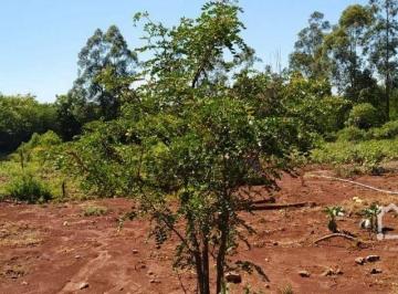 Imagem 1 · Chácara para venda em Maringá