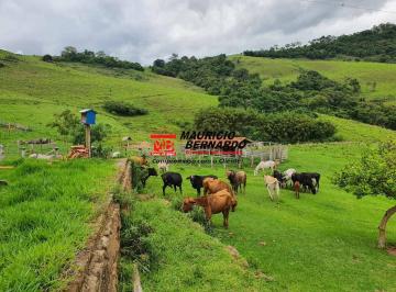 Imagem 2 · Fazenda para venda em Munhoz