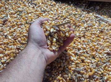 Imagem 1 · Fazenda para venda em Centro, Aiuruoca