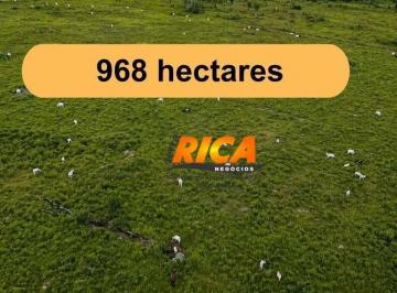 Imagem 1 · Fazenda para venda em Apuí