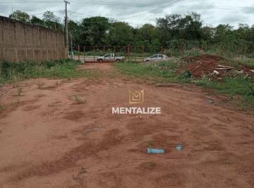 Imagem 1 · Depósito-Galpão-Armazém para venda e aluguel em Distrito Ind
