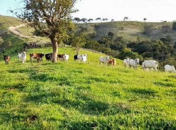 Imagem 1 · Fazenda para venda em Centro, Cunha
