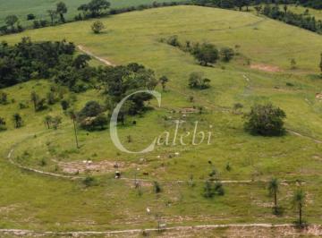 Imagem 1 · Sítio para venda em Martinho Prado Júnior, Mogi Guaçu