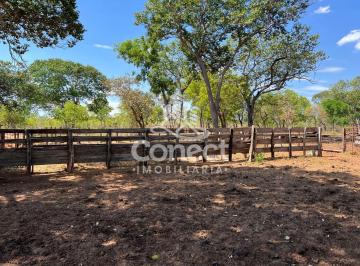 Imagem 1 · Fazenda para venda em Centro, São Desidério