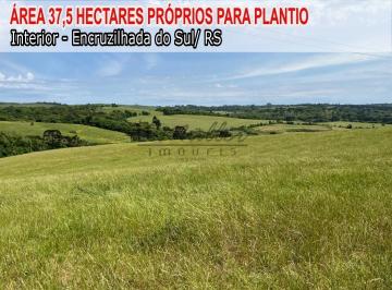 Imagem 1 · Fazenda para venda em Encruzilhada do Sul