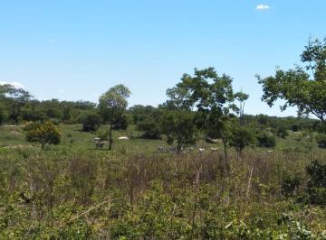 Imagem 1 · Fazenda para venda em Centro, Santa Rita de Cássia