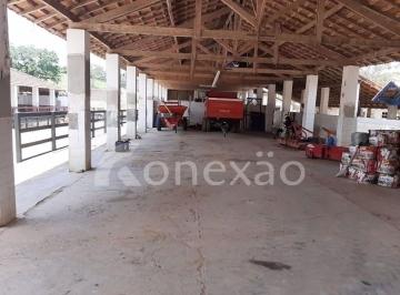 Imagem 1 · Fazenda para venda em Centro, Caçapava