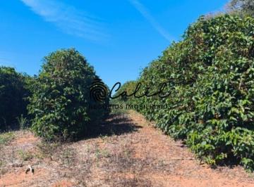 Imagem 1 · Fazenda para venda em Centro, Guaxupé
