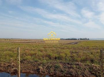 Imagem 1 · Fazenda para venda em Centro, Águas Claras