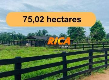 Imagem 1 · Fazenda para venda em Nova Mamoré