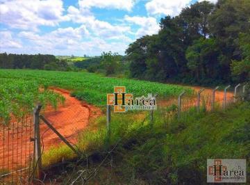 Imagem 1 · Sítio para venda em Capela do Alto