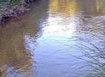 Imagem 1 · Sítio para venda em Rio Claro