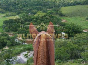 Imagem 1 · Fazenda para venda em Centro, Cunha