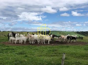 Rural · 10m² · 3 Quartos · Fazenda / Sítio para venda em Alambari de 10.00m² com 3 Quartos