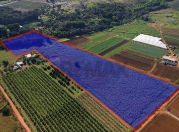 Rural · 85600m² · Chácara em Brazlândia