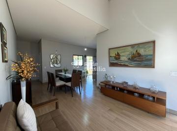 Casa · 155m² · 3 Quartos · Condomínio San Francisco II- Casa à venda, 3 quartos, sendo 2 suítes-Jardim Botânico-DF