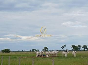 8c9196e3da5c3649ac0a6c6629cb1d8eb3a6771b · Fazenda Pecuária +7.800 hectares a venda em Cocalinho no Mato Grosso!