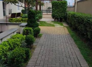 b7c1d1c82e0755ef21cb74b021eebaac58a0c56f · Apartamento com 2 dormitórios à venda, 49 m² por R$ 300.000,00 - Vila Antonieta - São Paulo/SP