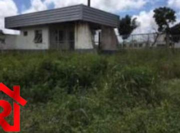 Foto 12 · Galpão Comercial na Estiva em São Luís-MA: Oportunidade Única! 80.000 m² de Área!