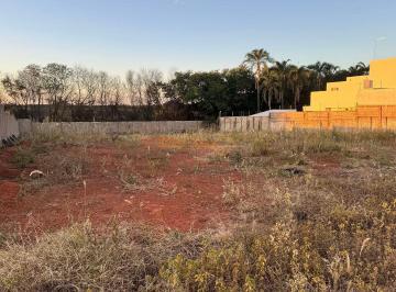 Imagem 1 · Terreno para venda em Centro, Araguari