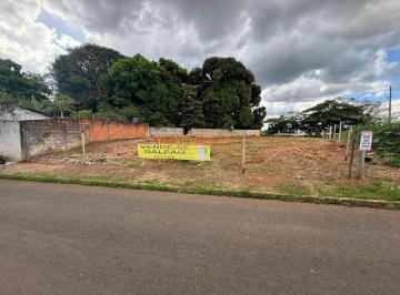 Imagem 1 · Terreno para venda em Centro, Araguari