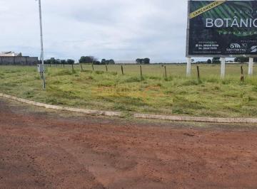 Imagem 1 · Terreno para venda em Centro, Araguari