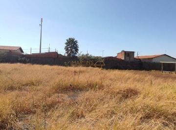 Imagem 1 · Terreno para venda em Centro, Araguari