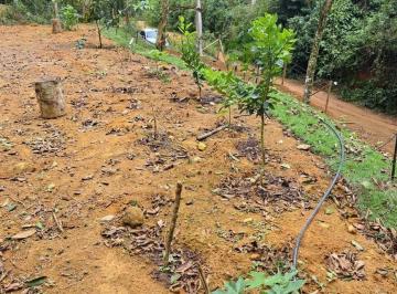 Imagem 1 · Fazenda para venda em Centro, Santa Teresa