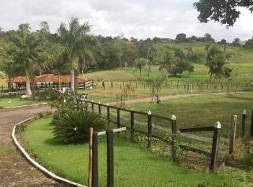 Imagem 1 · Fazenda para venda em Área Rural de Araguari, Araguari