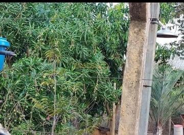Imagem 1 · Fazenda para venda em Centro, Araguari