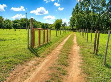 Imagem 1 · Sítio para venda em Área Rural de Jaraguari, Jaraguari