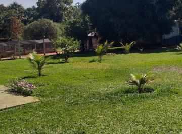 Imagem 1 · Fazenda para venda em Centro, Araguari