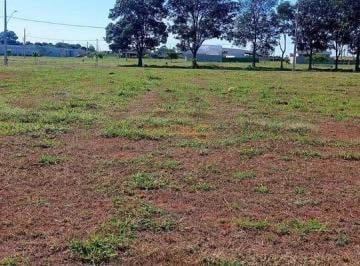 Imagem 1 · Terreno para venda em Centro, Araguari