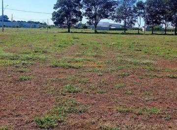 Imagem 1 · Terreno para venda em Centro, Araguari