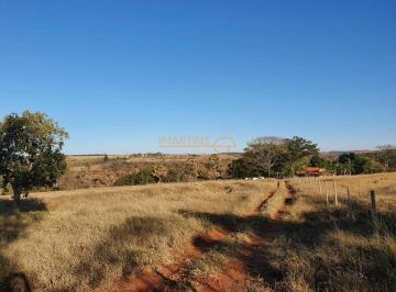 Imagem 1 · Fazenda para venda em Área Rural de Araguari, Araguari