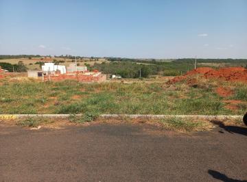 Imagem 1 · Terreno para venda em Centro, Araguari
