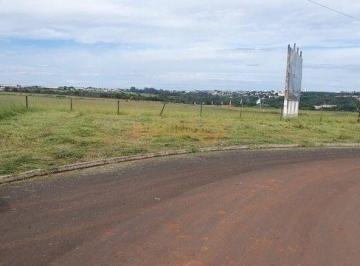 Imagem 1 · Terreno para venda em Centro, Araguari