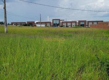 Imagem 1 · Terreno para venda em Centro, Araguari