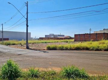 Imagem 1 · Terreno para venda em Centro, Araguari