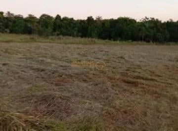 Imagem 1 · Sítio para venda em Centro, Araguari
